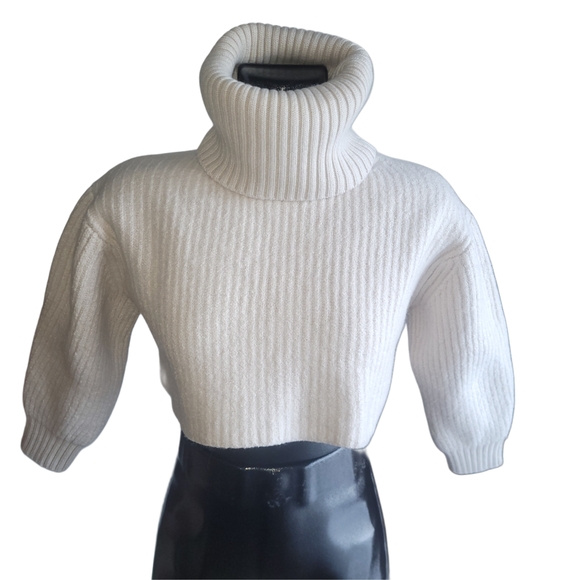 Babaton Sweaters - Aritzia's Babaton Ribbed Knit 100% Merino Wool Cropped Turtleneck Sweater 2XS